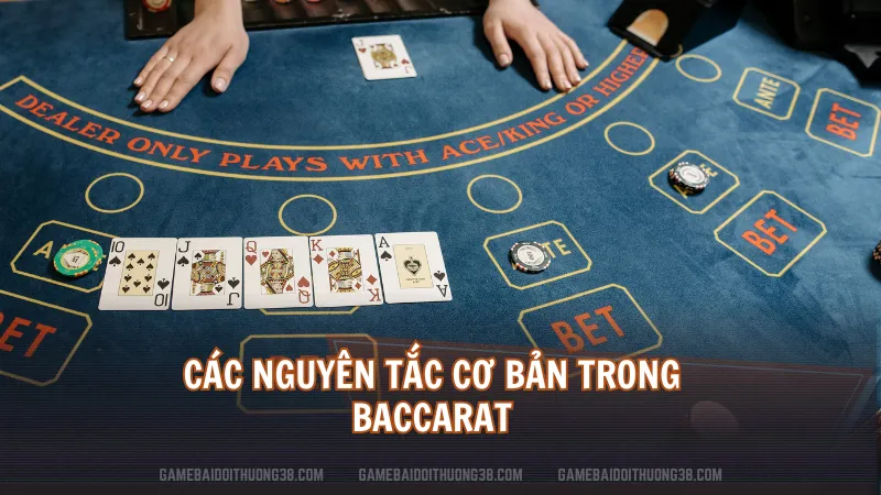 Các nguyên tắc cơ bản trong Baccarat