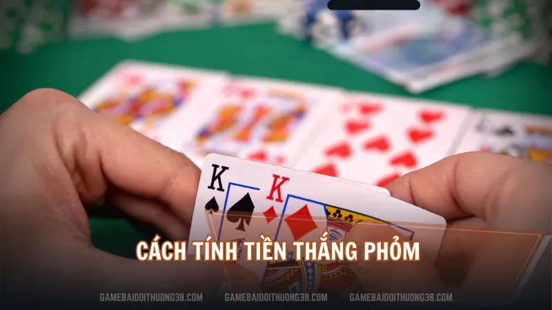 Cách tính tiền thắng Phỏm 