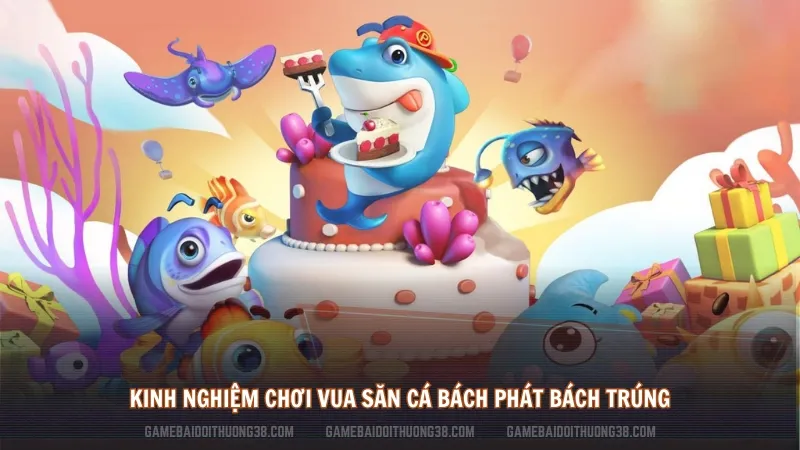 Kinh Nghiệm Chơi Vua Săn Cá Bách Phát Bách Trúng