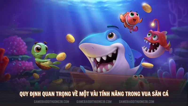 Quy Định Quan Trọng Về Một Vài Tính Năng Trong Vua Săn Cá