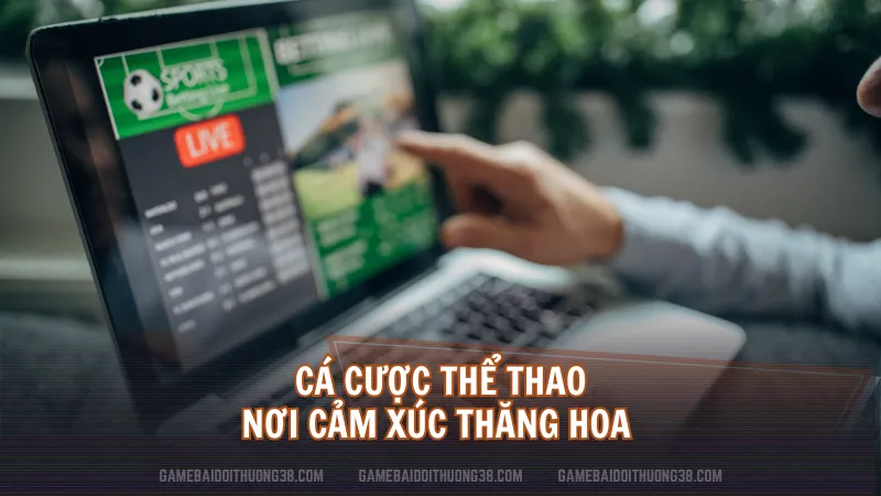 Cá cược thể thao, nơi cảm xúc thăng hoa 