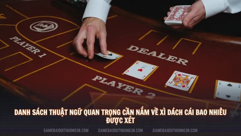 Danh sách thuật ngữ quan trọng cần nắm về xì dách cái bao nhiêu được xét