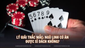 Ngũ linh có ăn được xì dách không